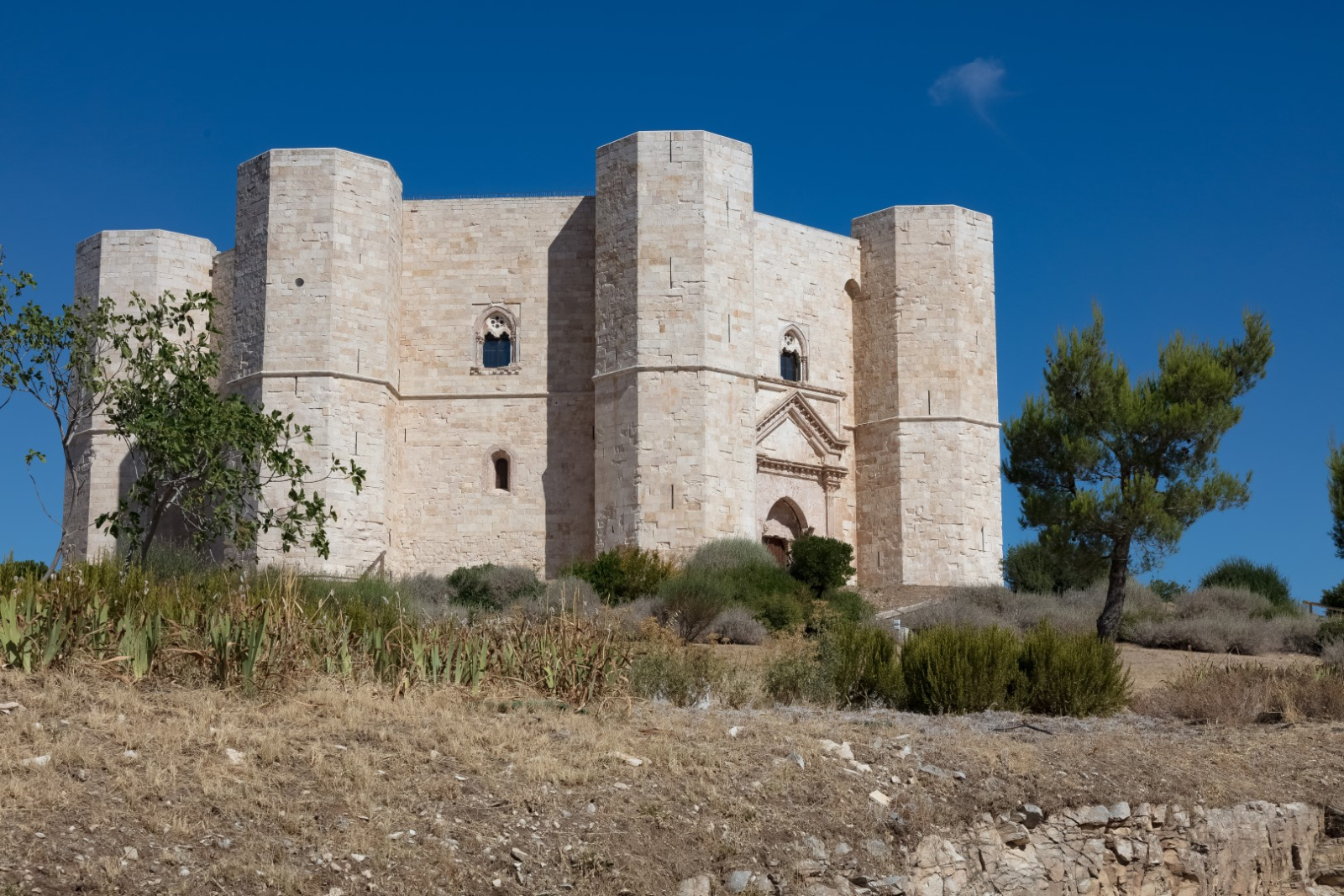 Castel Del Monte3213 (Large)